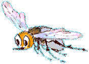 die Hummel Brummhilde